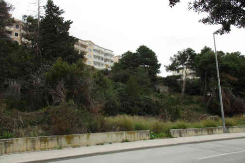 Split Peninsula Properties